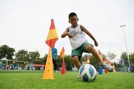 corporate services 19